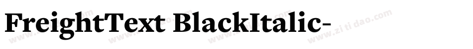 FreightText BlackItalic字体转换